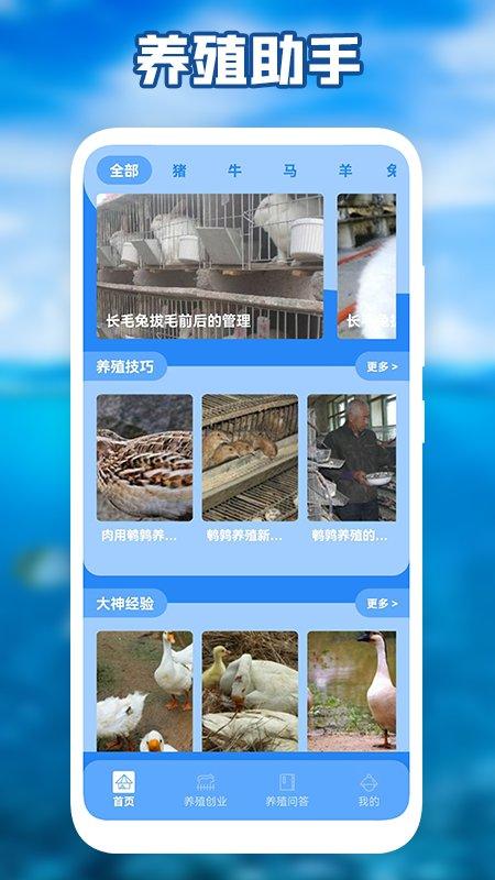养猪场之星app下载,养猪app,养殖app,养猪场之星